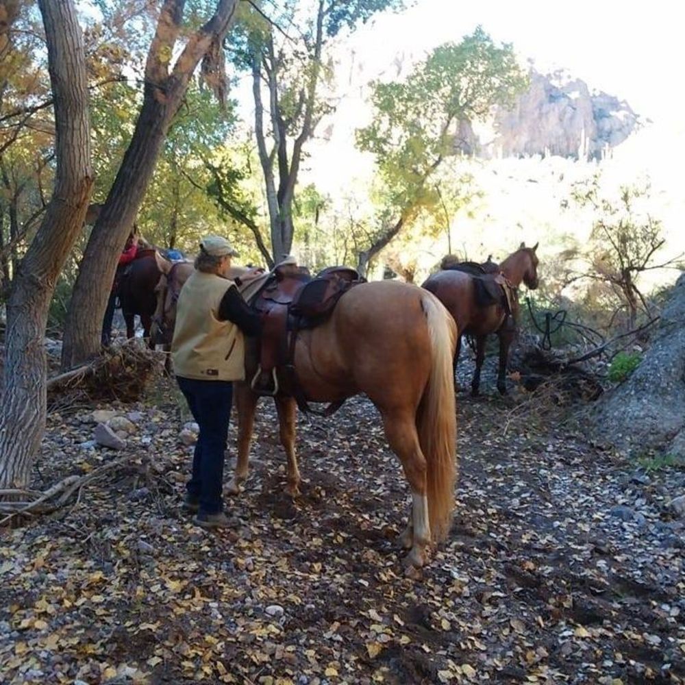 Meet your Posher, Brenda